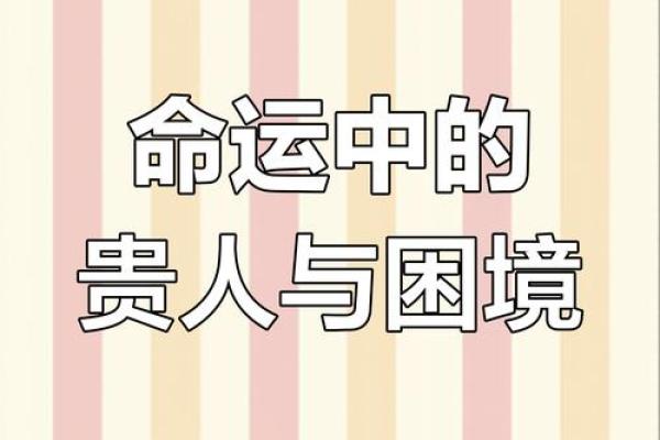 绝字命：解读人生转折与命运的秘密之道