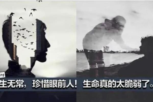探寻“朽命”的深意：生命的脆弱与意识的觉醒
