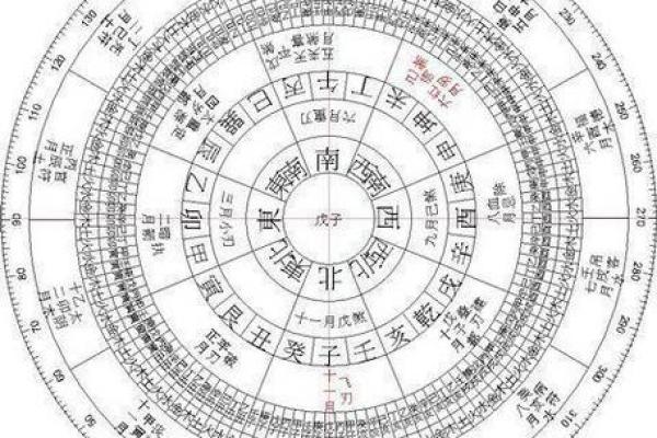 将星遇华盖，命运掌握的独特解析