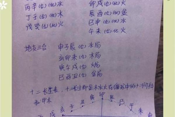 虎年宝宝的水命解析：探索五行与生肖之间的奥秘