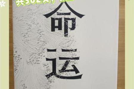 1994年12月16日的命运转折：如何在关键时刻把握人生机遇