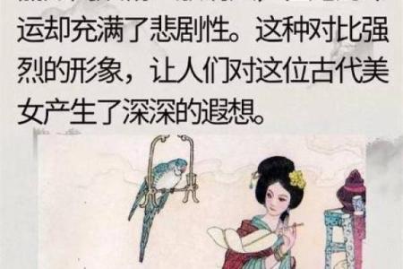 属鸡夜里出生的独特命运解析：命理与性格的深度探讨