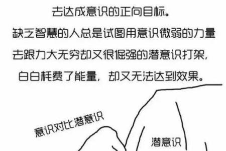 命局解析：揭示命运中隐藏的秘密与启示