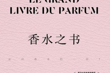 前额头发低的秘密：揭示命运与心理的奇妙联系