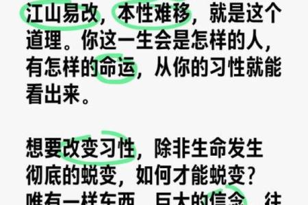 1993年出生的男性命格分析：探寻命运之路的奥秘