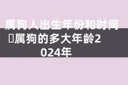 属狗的命理揭秘：属狗人的十种命理分析与运势展望