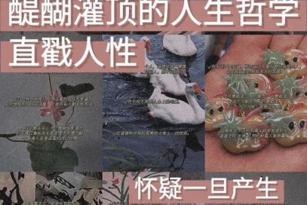 探索“命黑暗”背后的深意与哲学解析