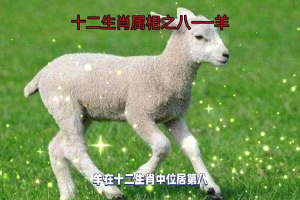 1943年出生的羊：命运与性格的奇妙探讨