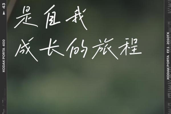 普通命格女孩的成长旅程：如何在平凡中找到不平凡的自己