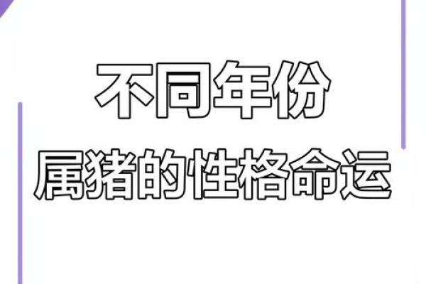 揭秘猪命：生肖猪的命理与性格分析，让你更了解自己！