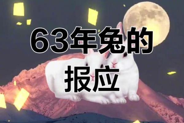 63年出生的兔命人，有哪些人生特质与运势启示？