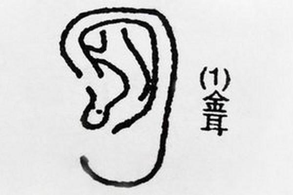 揭开耳朵高于眉毛的命理奥秘，助你了解自身潜能与性格！