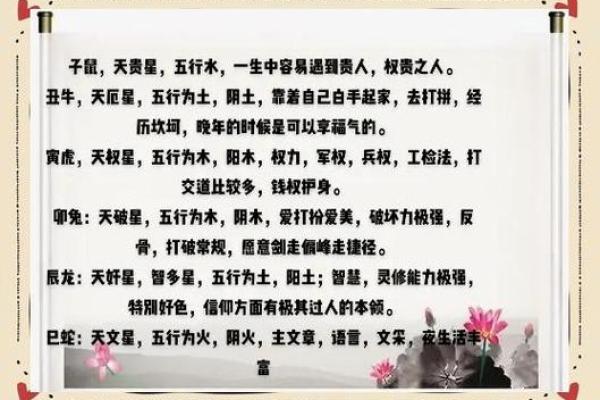 55岁属什么生肖，命运与人生的解读与启示