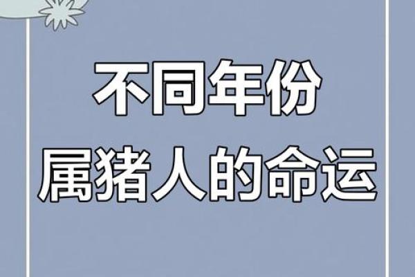解密属猪人的命运：1971年出生的你，注定与众不同！