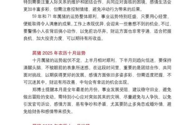 2020年属猪命人的性格与运势解析：走向辉煌的秘诀