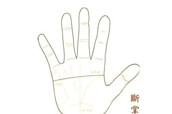 男生右手断掌纹的命运解析：你不可不知的秘密