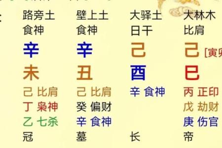 解析壬午、壬寅、乙巳、乙酉命理，揭示命运背后的奥秘与启示
