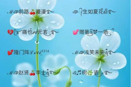命里缺水的你，最适合的个性网名推荐与解析！