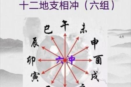 2017年属猪命格解析：富贵与健康的完美结合
