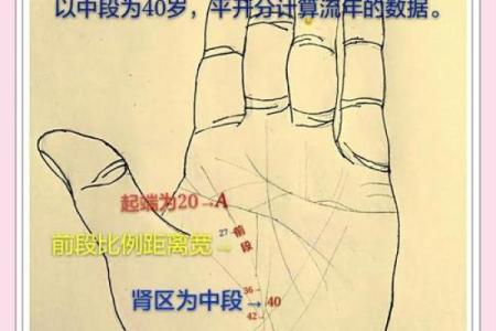 手相与面相揭示的命运玄机：读懂你的命运密码