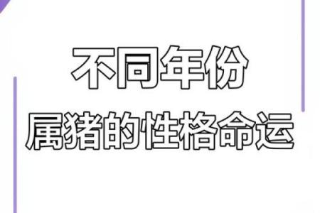 揭秘猪命：生肖猪的命理与性格分析，让你更了解自己！