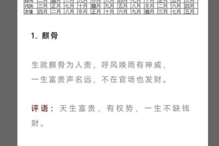 2017年农历的命运解析：探寻属于你的命理之旅