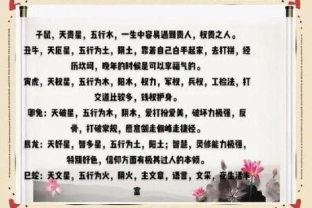 55岁属什么生肖，命运与人生的解读与启示