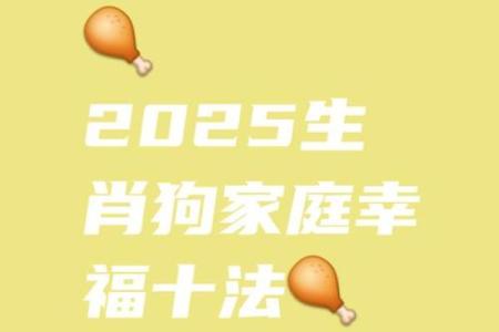 属狗人51岁的命运解析：揭开生活的神秘面纱