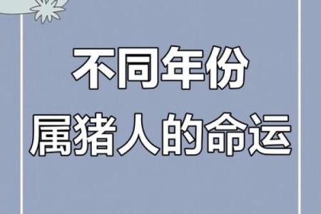 解密属猪人的命运：1971年出生的你，注定与众不同！