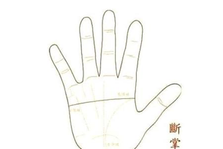 男生右手断掌纹的命运解析：你不可不知的秘密