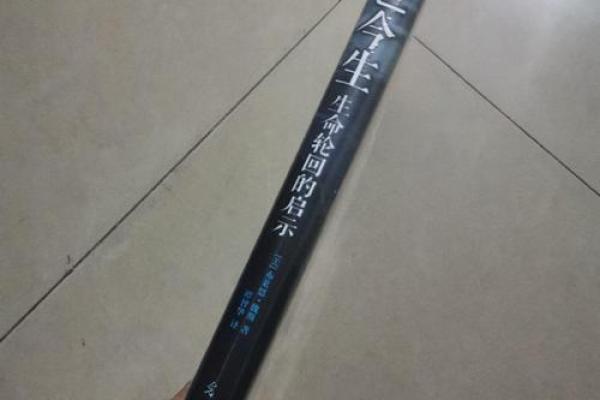 前世今生：命运中的轮回与启示
