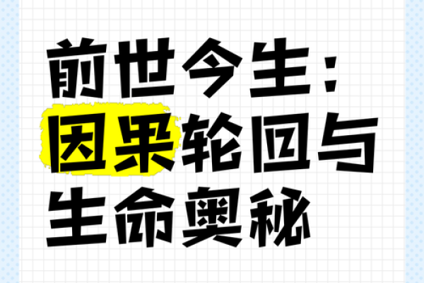 前世今生：命运中的轮回与启示