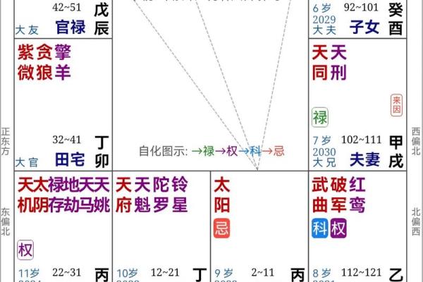 紫薇命盘解析：揭秘学历与成功的奥秘