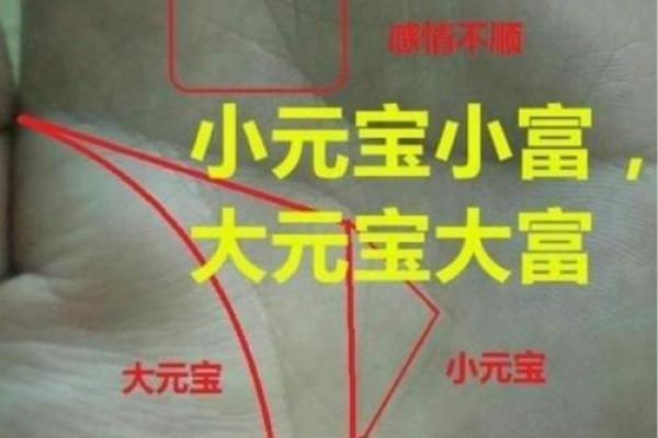 揭示手相之谜：怎样的男性才能拥有土豪命？
