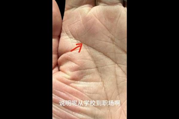 揭示手相之谜：怎样的男性才能拥有土豪命？