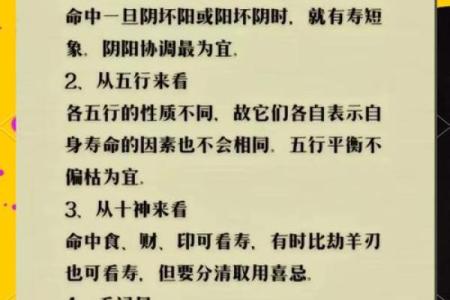 1994年出生的人命理解析：探寻你的命运与性格特征