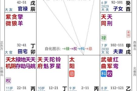 紫薇命盘解析：揭秘学历与成功的奥秘