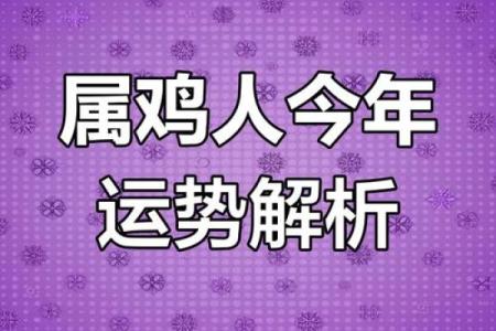 探索41属鸡之人的命运与运势
