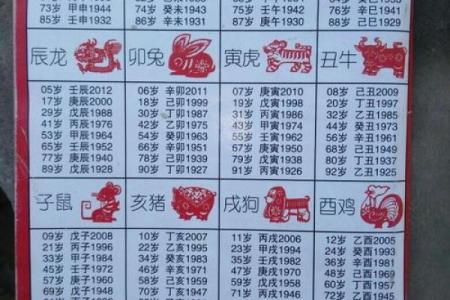 1963年出生的人：属于什么命运的探索与解析