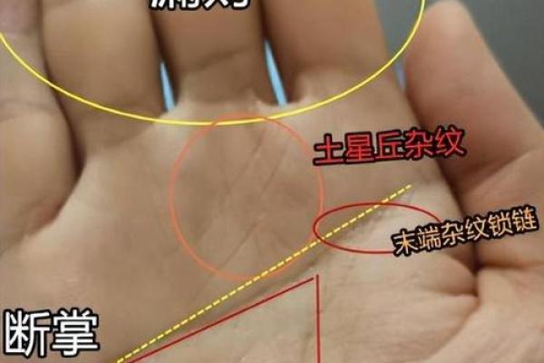 双手断掌苦命：深度解析这一掌相的命运隐喻