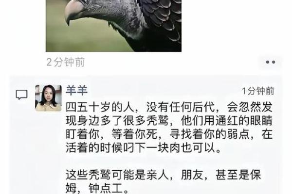 骨重4.7的命理解析：揭示你的命运之谜