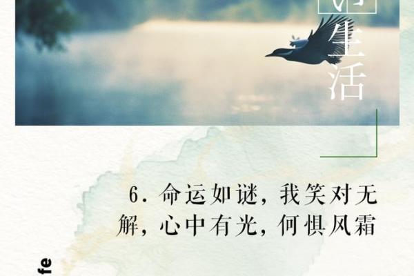 骨重4.7的命理解析：揭示你的命运之谜