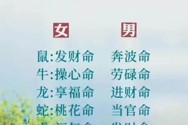 属什么生肖的命最硬？揭秘生肖背后的命运密码！
