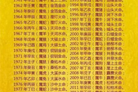 20000年属什么金命：揭开命理的神秘面纱