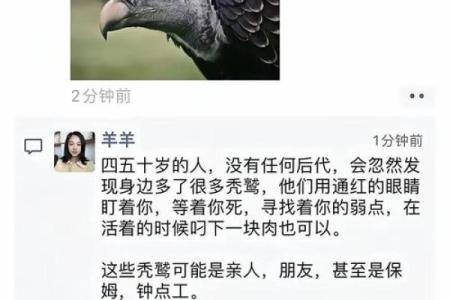 骨重4.7的命理解析：揭示你的命运之谜