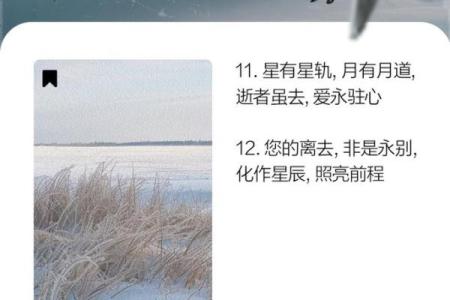 1973年出生的人：走进生命之旅的命运解析