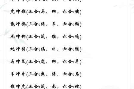 属什么生肖的命最硬？揭秘生肖背后的命运密码！