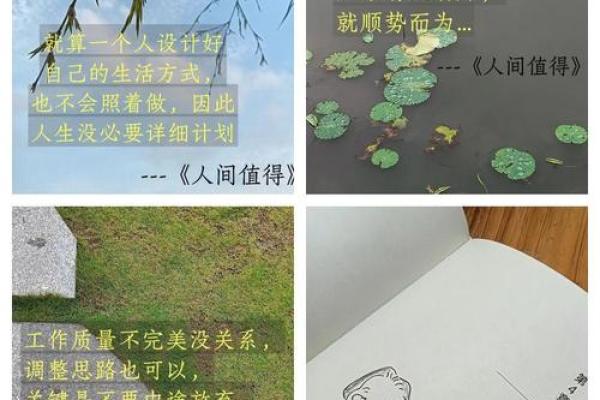探讨金钱与生命的关系：为什么我们努力工作以养活自己！
