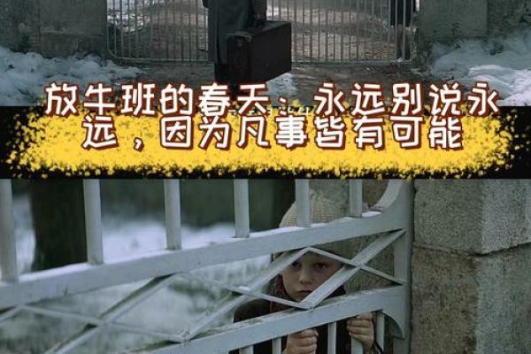 探寻《不是命》：一首承载青春情感的经典之作