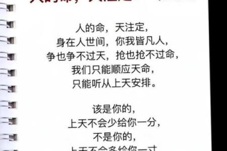 探索身边的人是什么命：人与命运的微妙关系